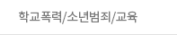 학교폭력/소년범죄