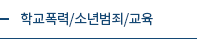 학교폭력/소년범죄